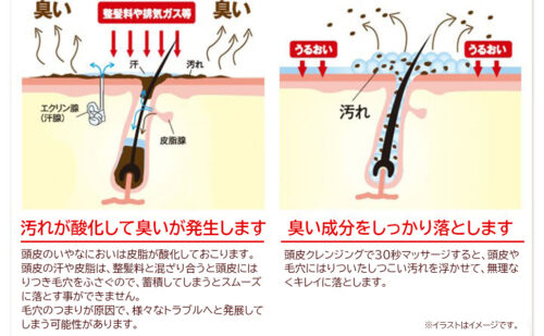 画像配置 500 × 309