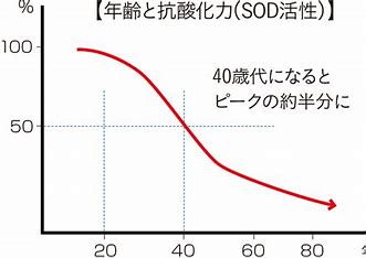 画像配置 331 × 234